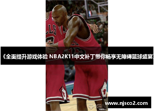 《全面提升游戏体验 NBA2K11中文补丁带你畅享无障碍篮球盛宴》
