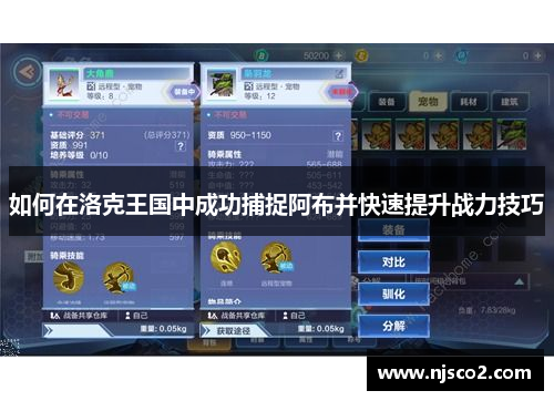 如何在洛克王国中成功捕捉阿布并快速提升战力技巧